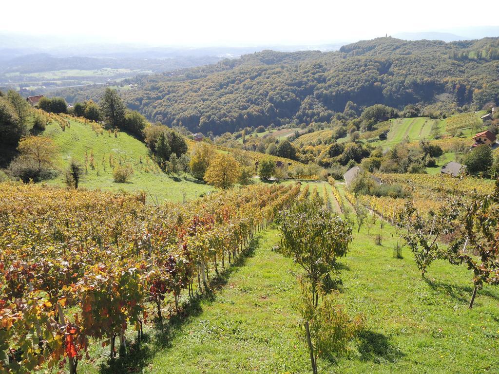 Vineyard Cottage Janko & Metka 오토세크 외부 사진